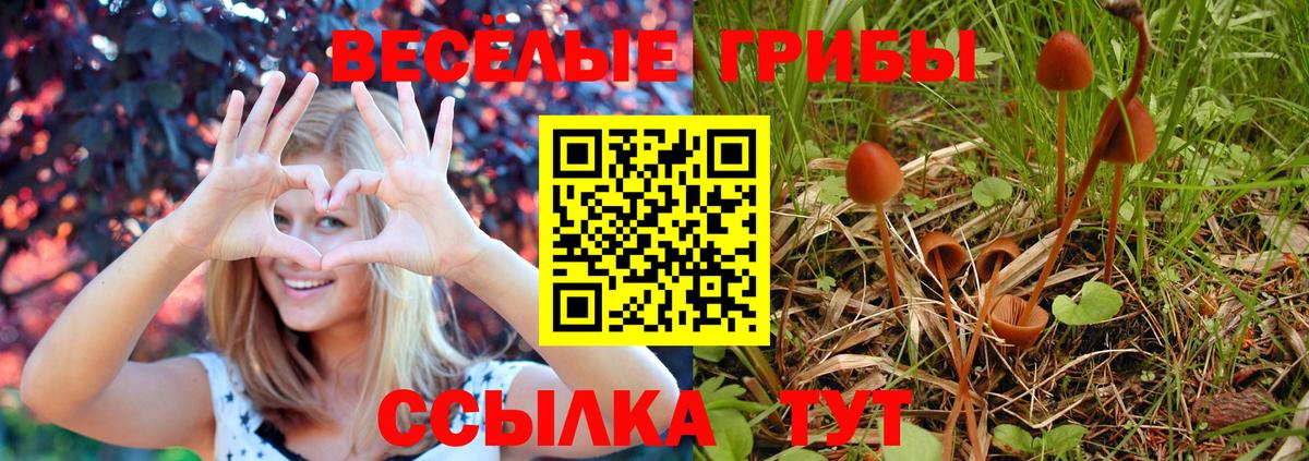 Галлюциногенные грибы MAGIC MUSHROOMS Серпухов