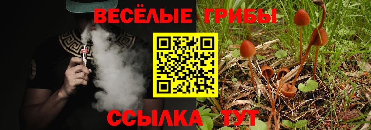 Псилоцибиновые грибы MAGIC MUSHROOMS  Вход с VPN  Серпухов 